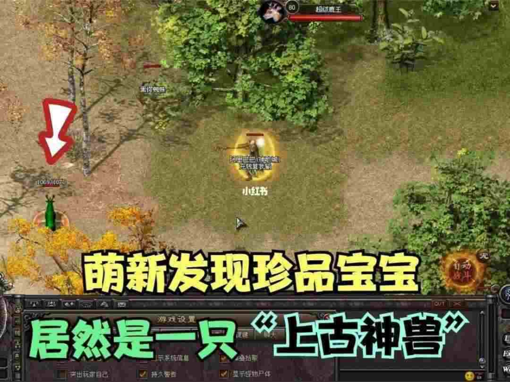 找新开传奇私服网站9pk组队刷怪小技巧